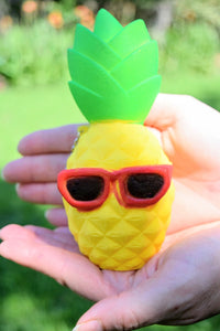 Pineapple Squishy Dude